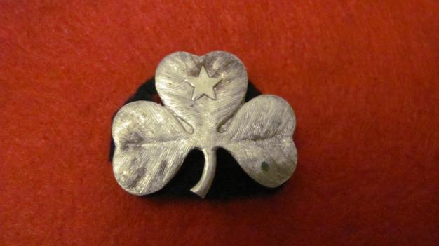 Unknown Old Irish Silver Shamrock Badge