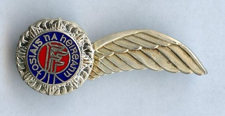 Irish Air Corps Wing in Fitted box